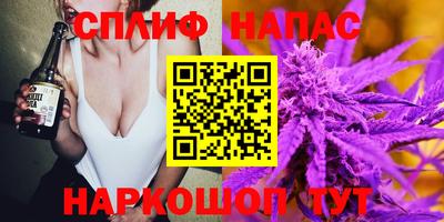 стаф Нальчик