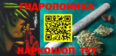 стаф Нальчик