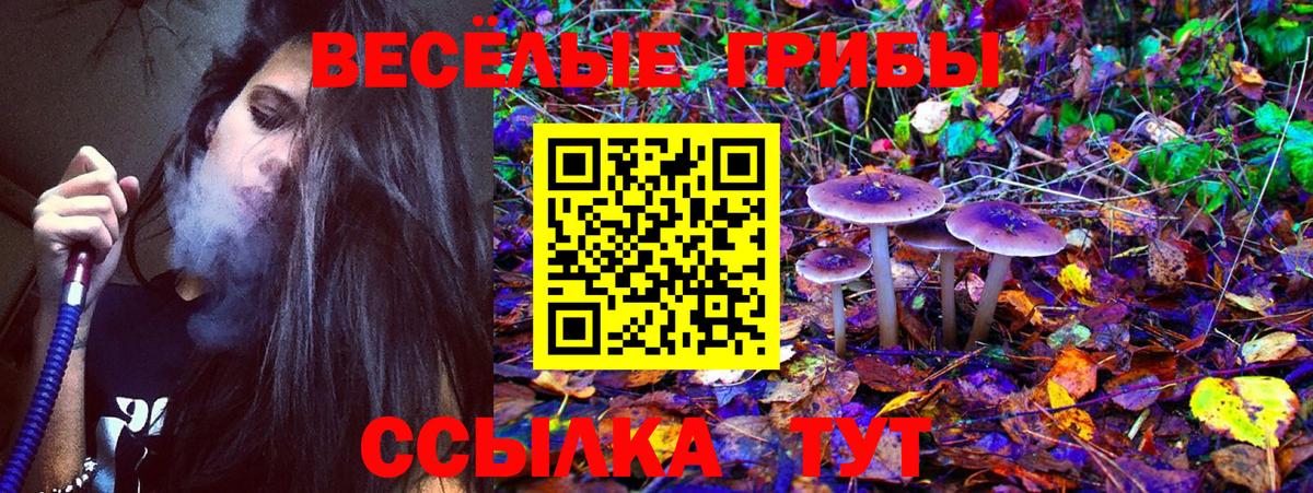 Псилоцибиновые грибы Magic Shrooms Верхняя Салда